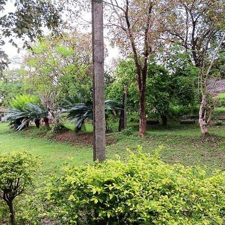 Aligama Cottage Talakolawela Екстер'єр фото