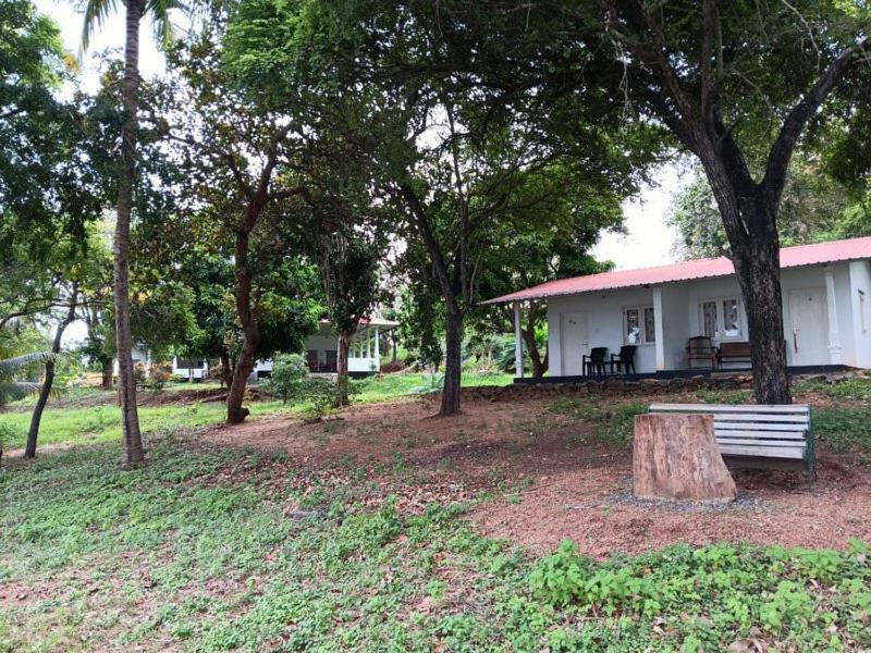 Aligama Cottage Talakolawela Екстер'єр фото